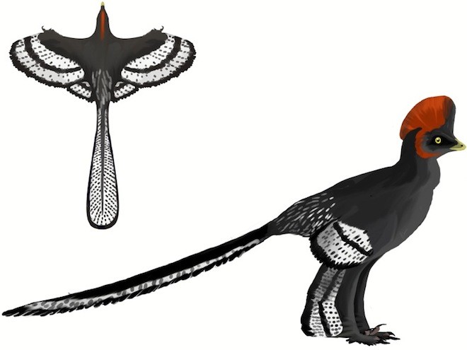 Реконструкция Anchiornis huxleyi