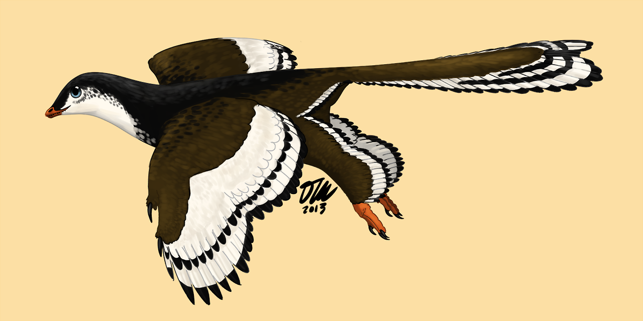 Реконструкция Archaeopteryx lithographica