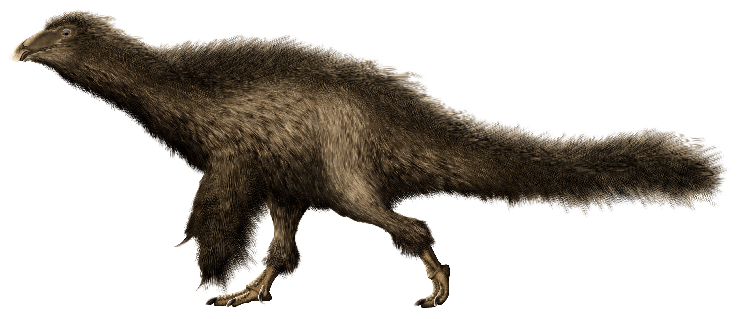 Реконструкция Beipiaosaurus
