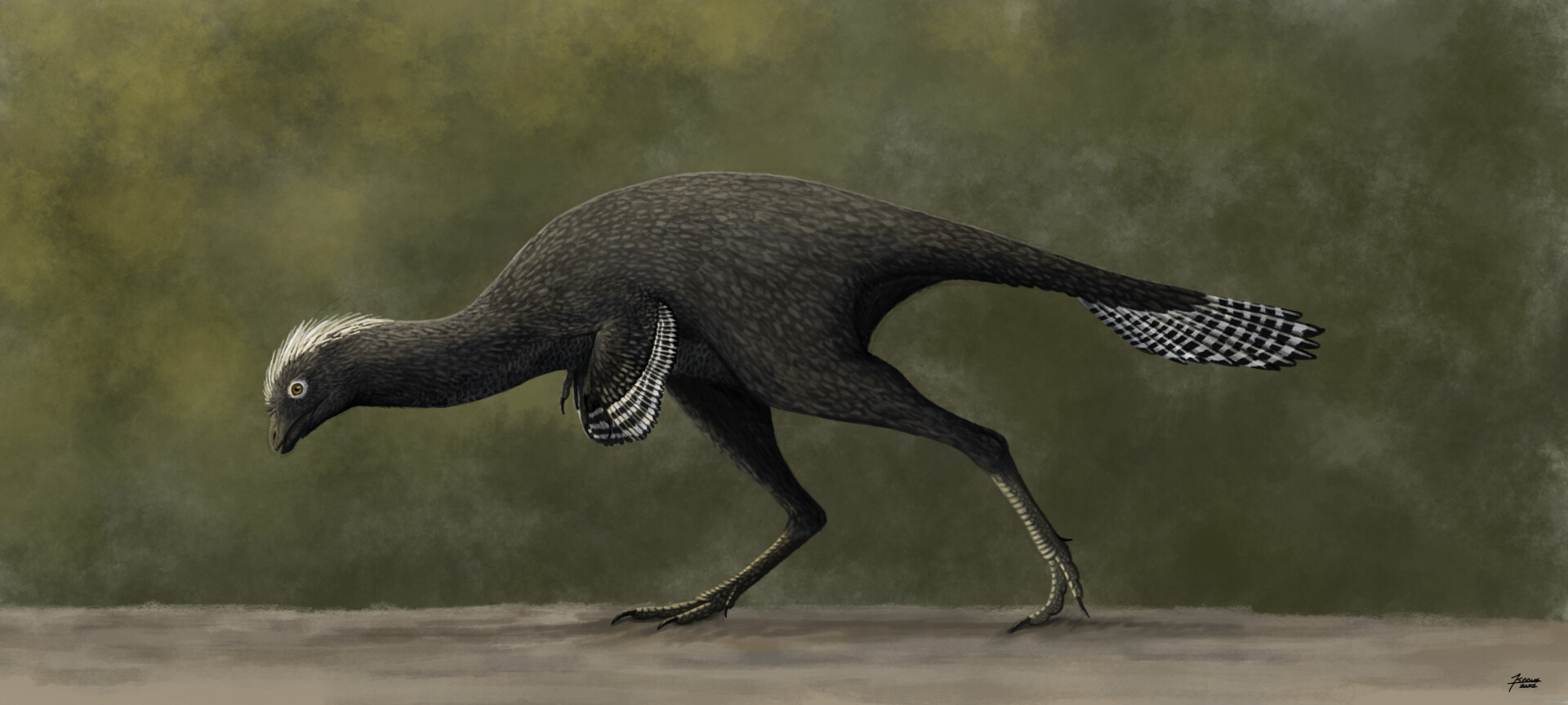 Реконструкция Caudipteryx zoui