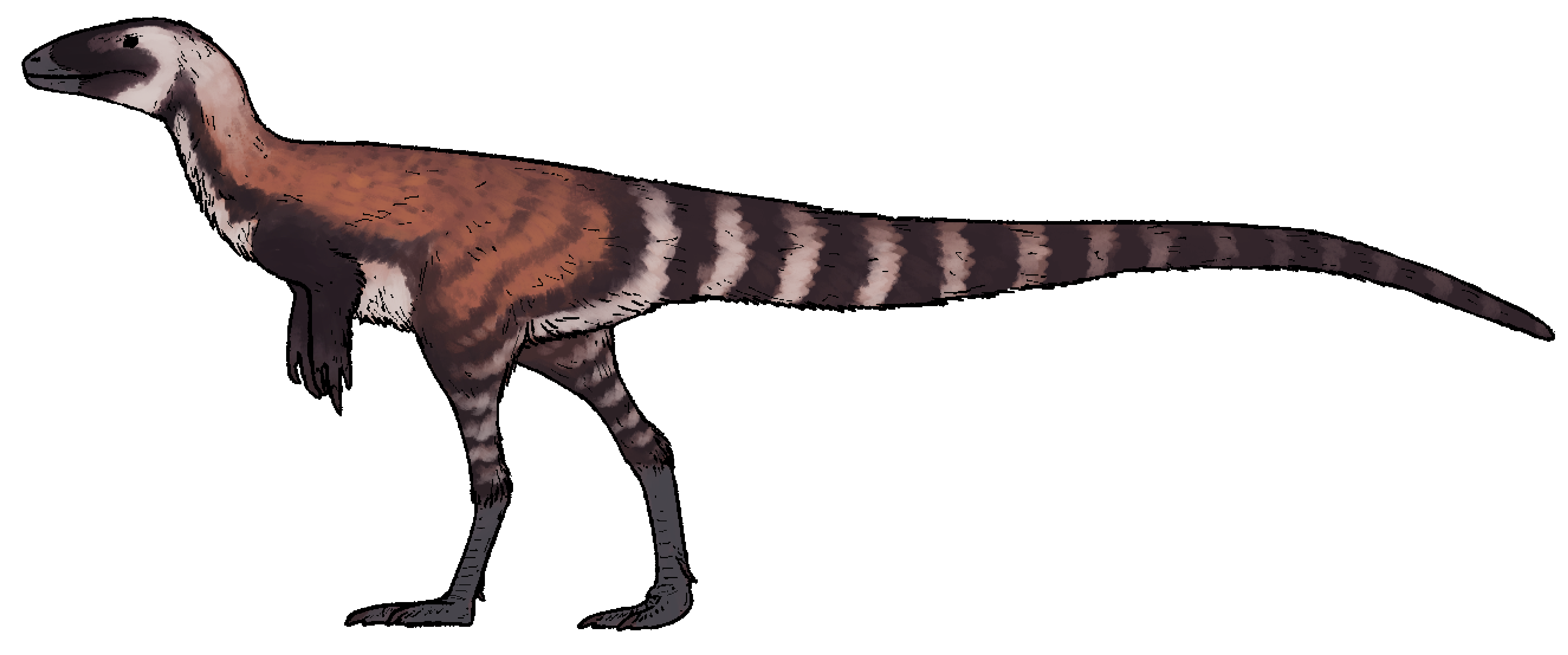 Реконструкция Huadanosaurus sinensis