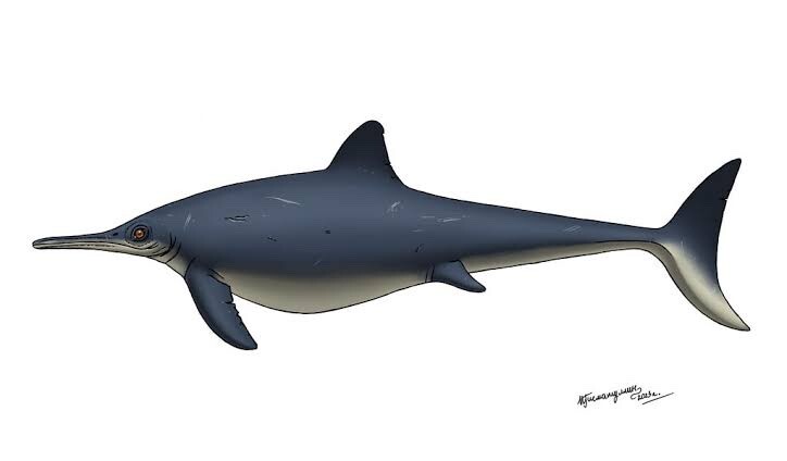 Реконструкция Stenopterygius sp.